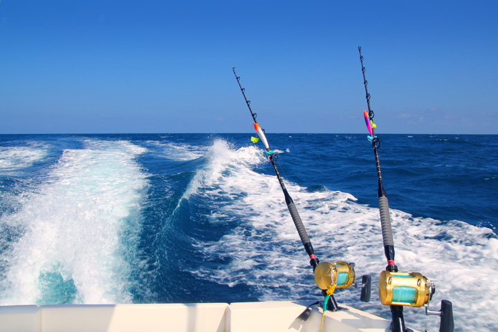 Deep Sea Sport Fishing